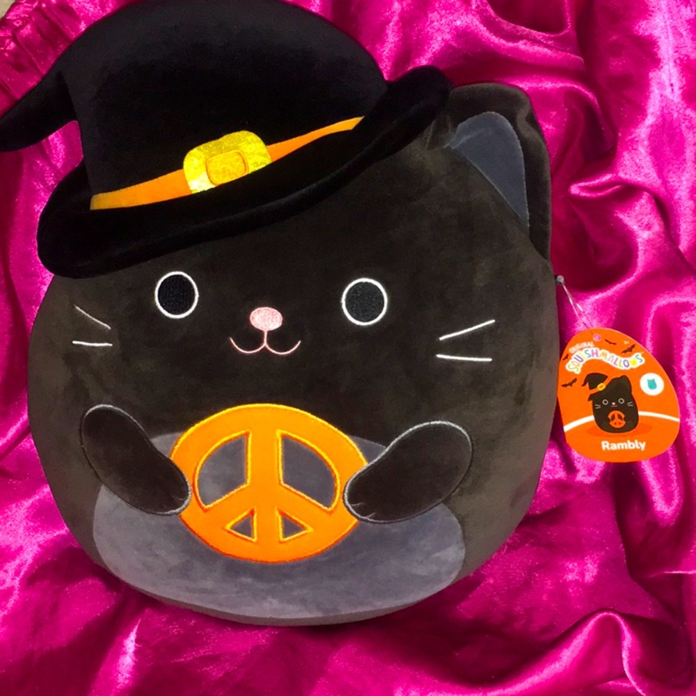 Squishmallow Cat β¨π€ - Picture 1 of 2